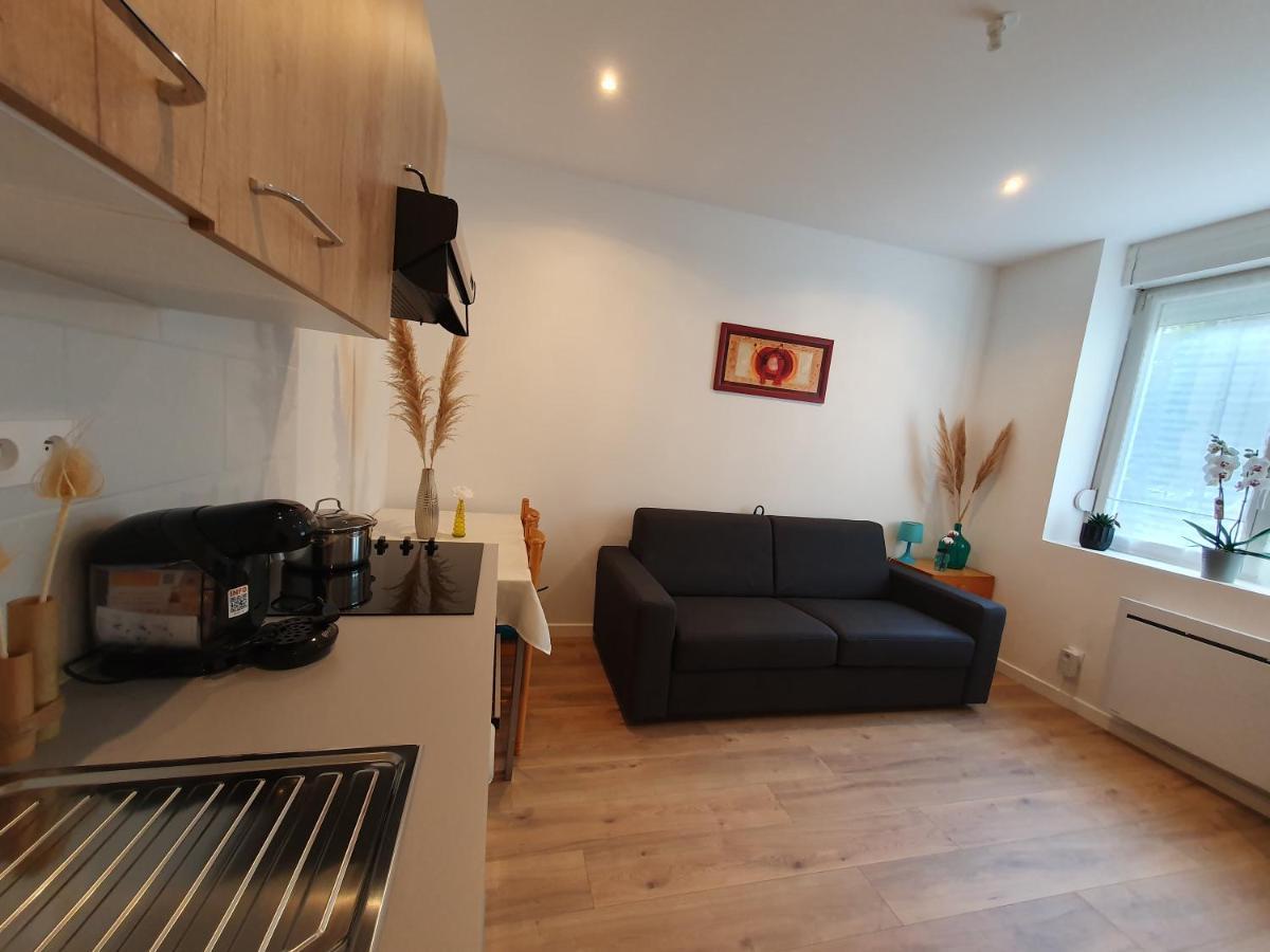 נאנסי Appartement Savane מראה חיצוני תמונה