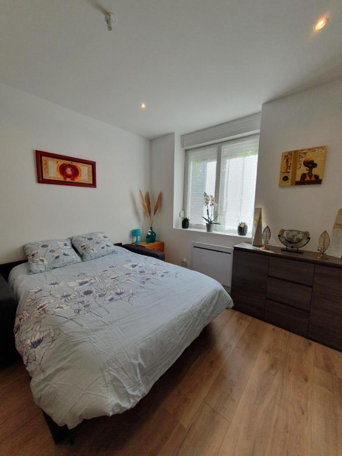 נאנסי Appartement Savane מראה חיצוני תמונה
