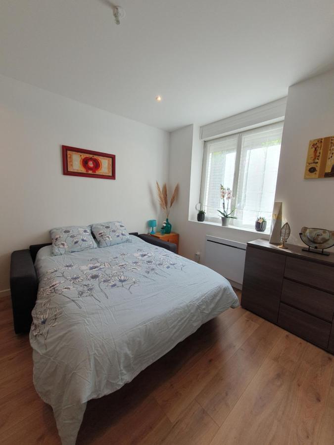 נאנסי Appartement Savane מראה חיצוני תמונה
